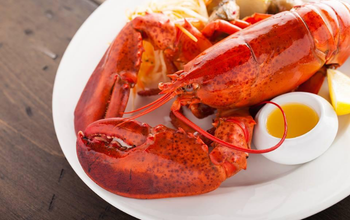 Seafood Specialties & Coastal Dining- Halifax